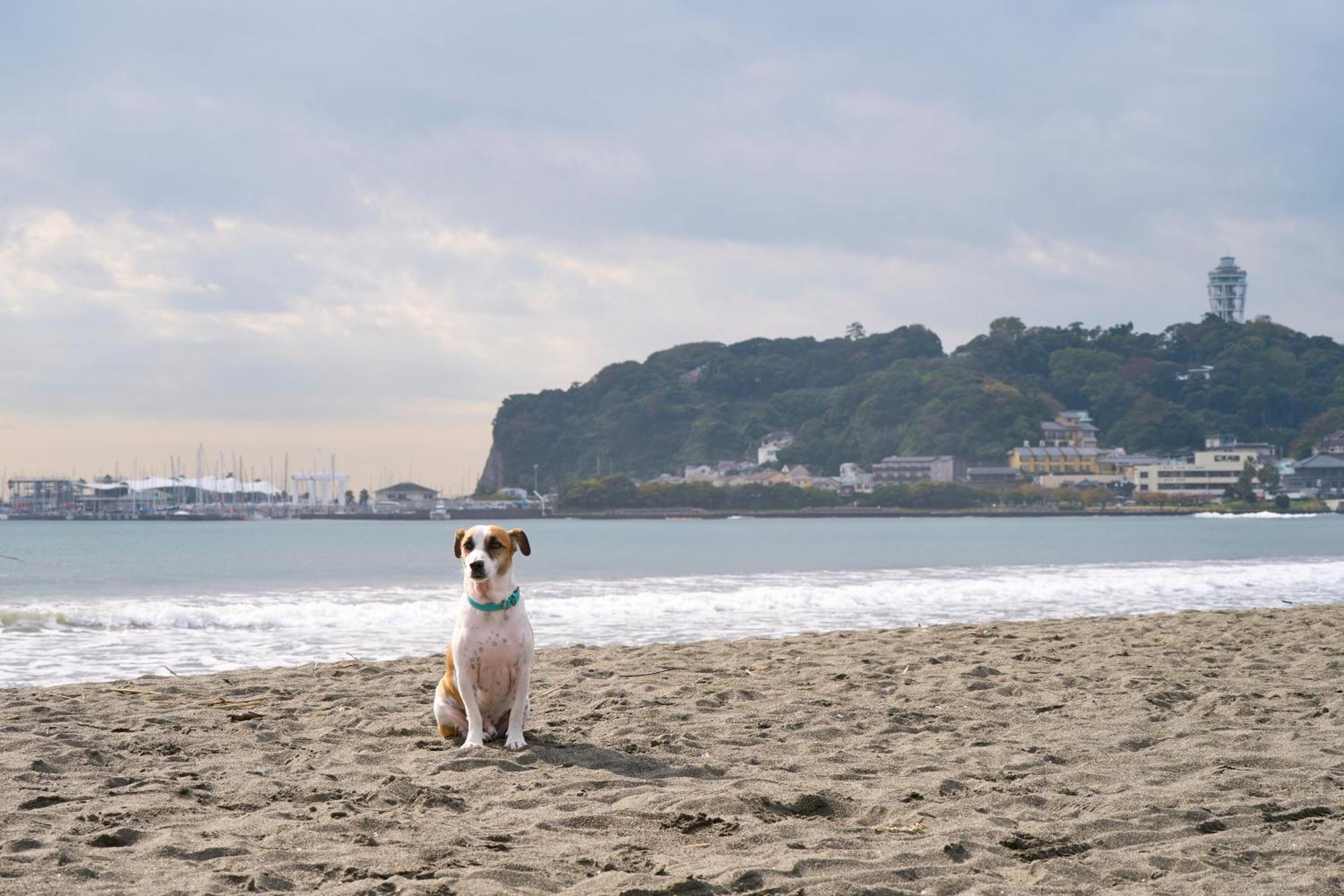 R.Kamakura 아파트 외부 사진